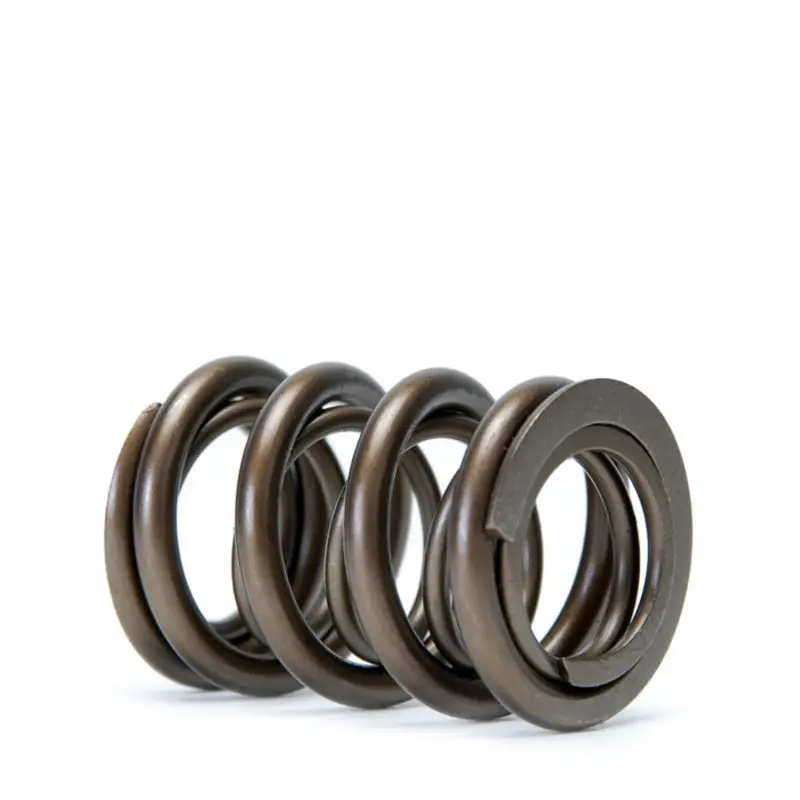 Skunk2 Tuner Series Dual Valve Spring Kit For Honda/Acura K20, K24, F20C & F22C Vtec Engines 1