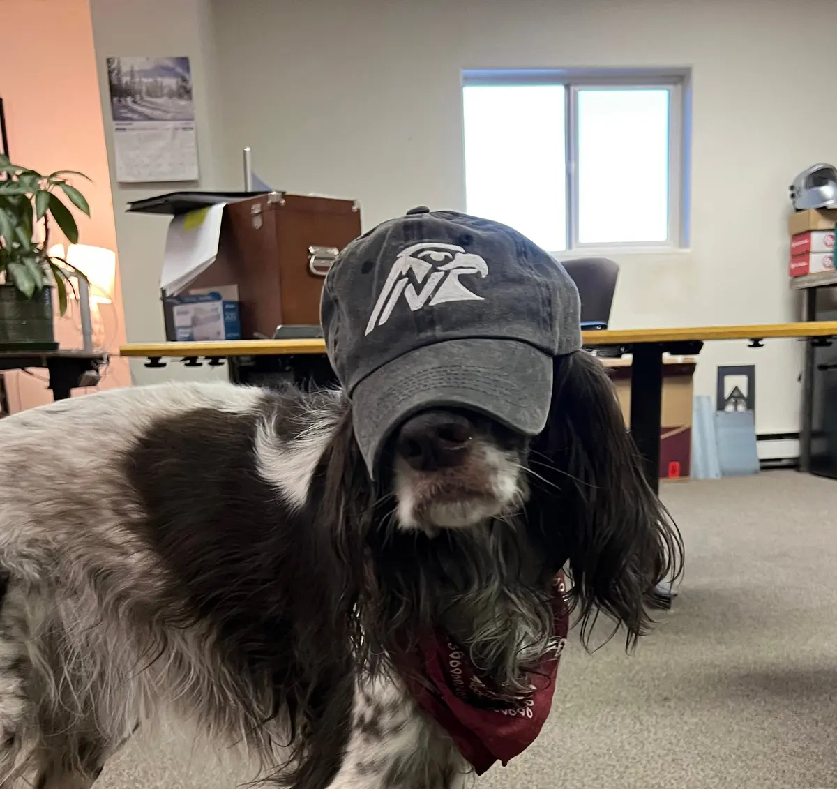 Next Venture Motorsports Cotton Hat 1